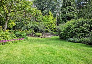 Optimiser l'expérience du jardin à Vic-le-Fesq